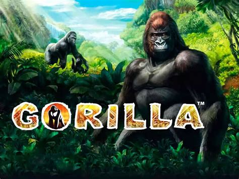 playgorillagames live|Online Casino Games .